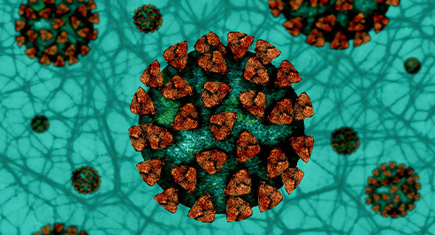 Coronavirus
