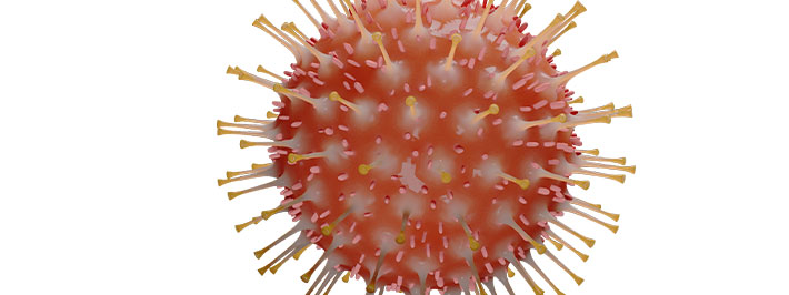 Coronavirus